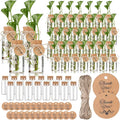 Baderke 48 Pcs 3.54'' Plastic Plant Propagation Stations with Hole Lid 4oz Planter Vase Clear Propagation Jars with Thank You Tags for Plant Lover Gifts for Women Office Home Garden
