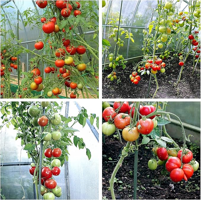 Garden Stakes Sturdy Metal Fence Post 5 Ft Plastic Coated Steel Plant Sticks for Tomatoes,Trees,Cucumber,Fences,Beans,Pack of 50