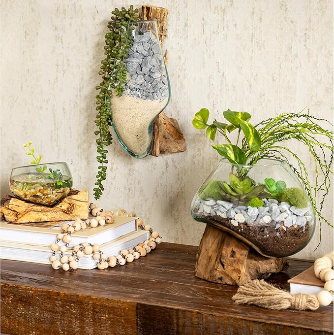 Cape Craftsmen 10" Hand-Blown Blue Tinted Bubble Glass On Natural Teak Driftwood Terrarium Kit | Home Décor Indoor Planter with Stand | Pot for Succulent and Plants