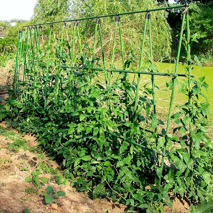 NANOPRETTY 58 Inch (Approx 5FT) Garden Stakes for Outdoor Plant Support, 0.43 inch Diameter Plant Stake Sticks for Tomato Beans Potted Climbing Plants Gardening Supplies 20 Pack