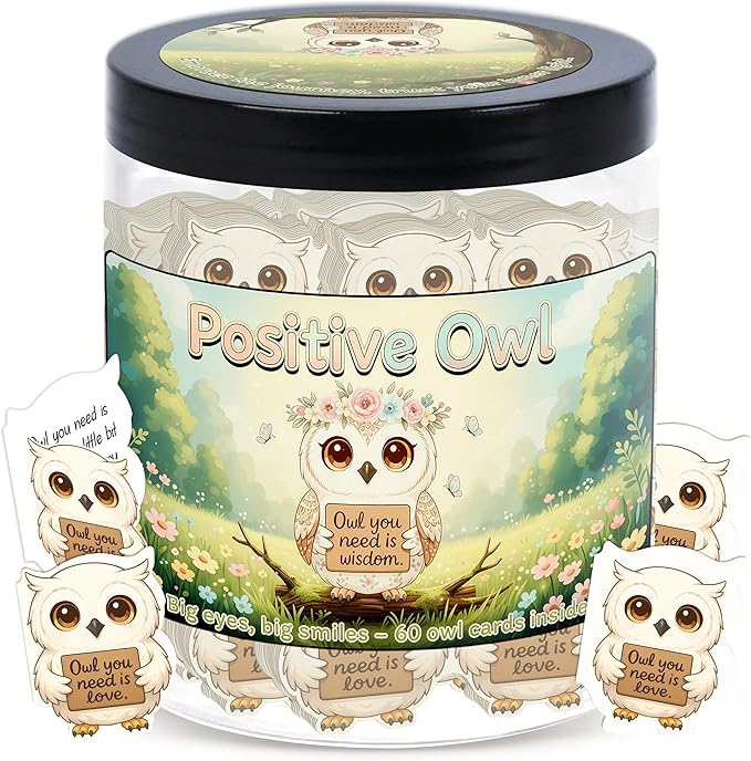 Positive Owl Jar With 60 Affirmation Cards – Emotional Support Owl Gifts For Women, Stress Relief And Daily Encouragement, Owl Themed Gifts, Office Decor For Women
