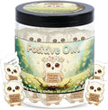 Positive Owl Jar With 60 Affirmation Cards – Emotional Support Owl Gifts For Women, Stress Relief And Daily Encouragement, Owl Themed Gifts, Office Decor For Women