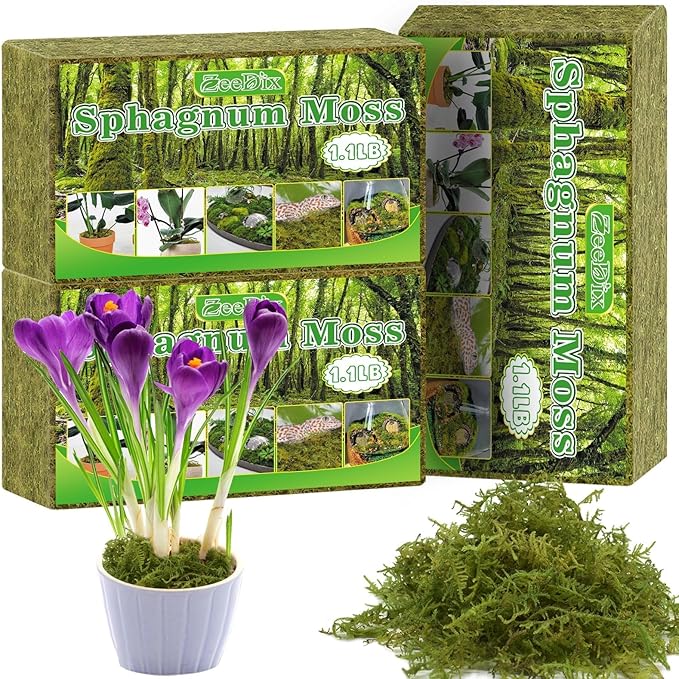 ZeeDix 3-Pack Premium Sphagnum Moss - 3.3 lb Orchid Moss Plant Growing Medium for Terrariums, Orchids, Carnivorous, Succulents & Reptile Habitat Substrate