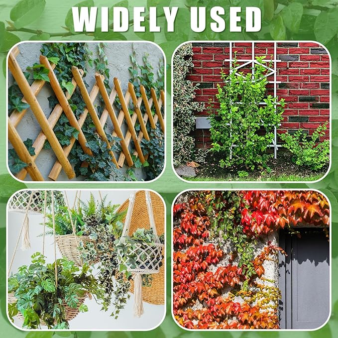WILLBOND 350 Feet Plants Trellis Training Wire 2 Rolls Trellis Wire for Climbing Plants for Garden Fence