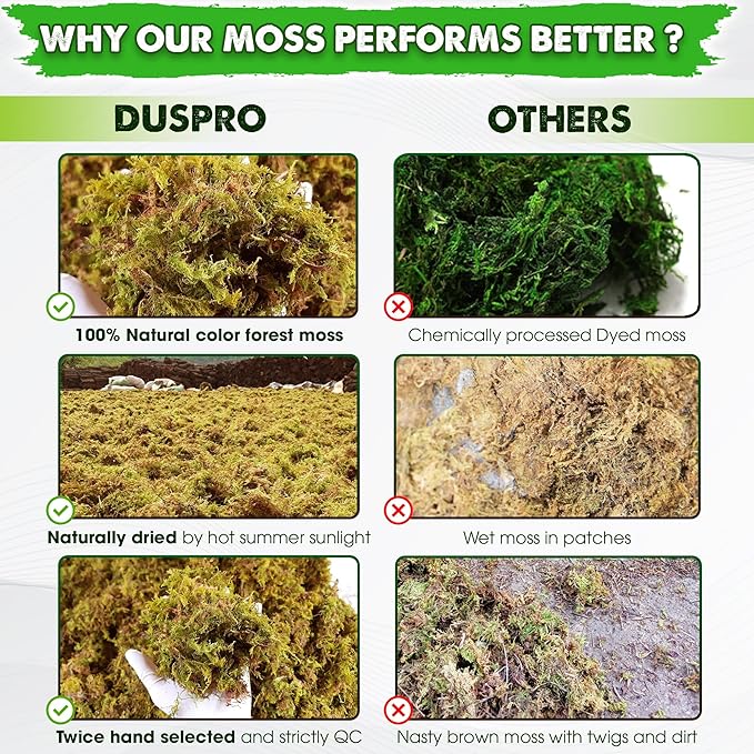DUSPRO 5 LBS Big Bag Dried Forest Moss for Plant Propagation Sphagnum Moss Bulk for Orchid Repotting Mix Organic Soil Medium Bale Premium Hand Selected