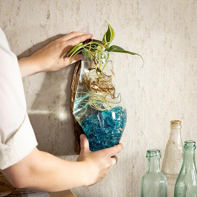 Cape Craftsmen Wall Mounted 12" Molten Glass Hanging Terrarium Kit on Natural Driftwood, Indoor Wall Planter Vase on Wood, Propagation Station for Hydroponics Plants, Succulent Pot