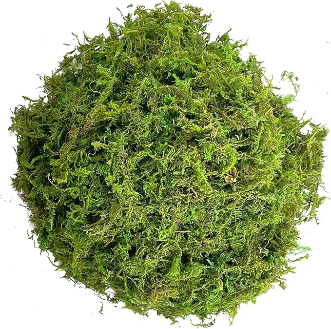 Green Moss for Crafts Artificial Moss Decorative Moss for Potted Plant Faux Orchid Moss Potting Mix Soil Peat Sphagnum Moss Pole Craft Arts Floral Wedding Decor Fairy Garden Terrariums Decoration