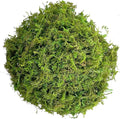 Green Moss for Crafts Artificial Moss Decorative Moss for Potted Plant Faux Orchid Moss Potting Mix Soil Peat Sphagnum Moss Pole Craft Arts Floral Wedding Decor Fairy Garden Terrariums Decoration