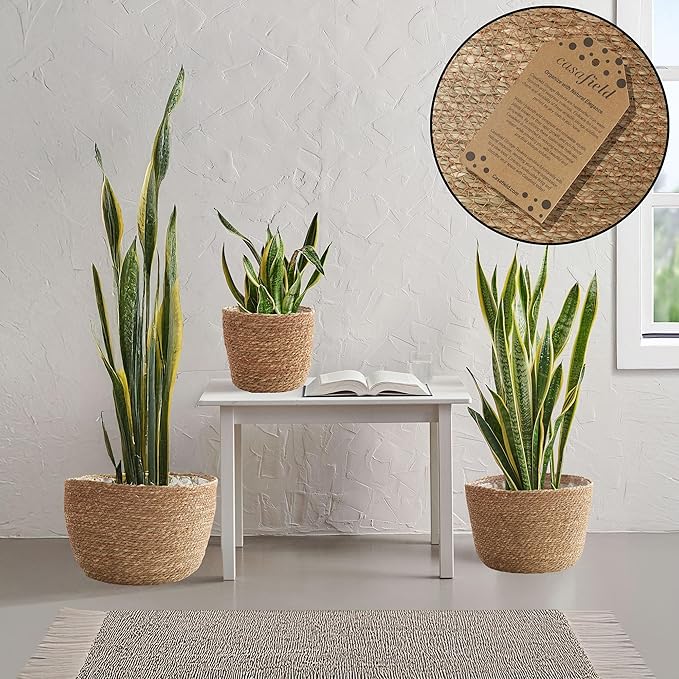 Casafield Set of 3 Seagrass Planter Baskets with Liners - Natural, Hand Woven Indoor Flower Pot Covers for Plants, Succulents, Home Decor