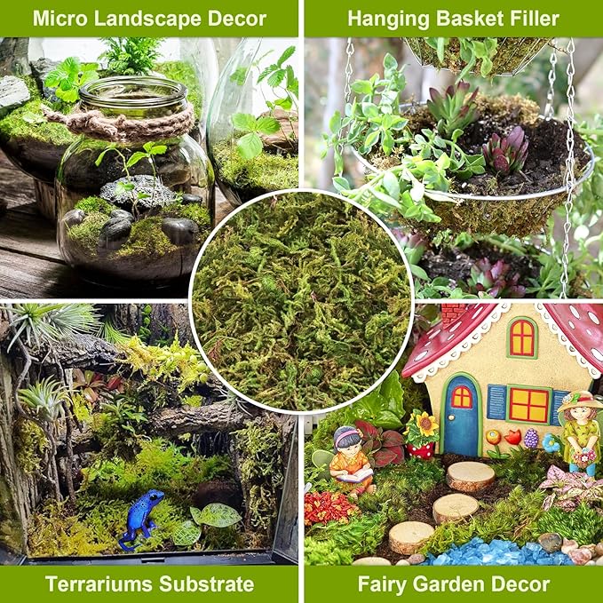 Legigo 4.4LBS Sphagnum Moss for Plants, 80QT Natural Orchid Moss Potting Mix Dired, Green Forest Plant Moss for Orchid Repotting Carnivorous Succulents Indoor Potted Plants Gardening and Reptiles
