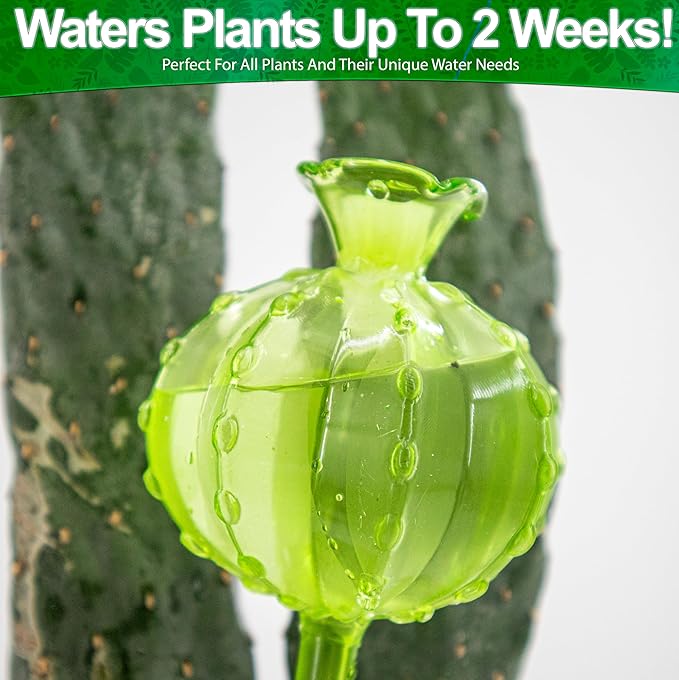 Aqua Glass Plant Watering Globes Automatic Self Watering Plant Insert Spike Orbs - Indoor Outdoor Plant Drip Irrigation - For Flowers, Herbs, Houseplants (Cactus Ball Globes, 4, Units)