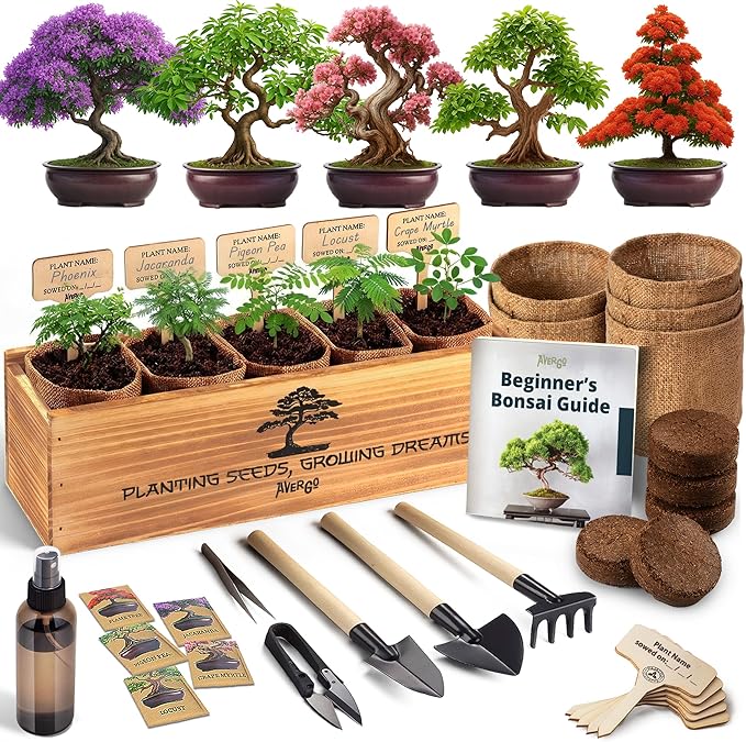 AVERGO Bonsai Tree Kit Classic - 5X Unique Japanese Bonzai Trees | Complete Indoor Bonsai Starter Kits for Growing Trees – DIY Gardening Gifts for Mother's Day, Women & Men