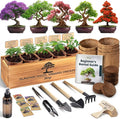 AVERGO Bonsai Tree Kit Classic - 5X Unique Japanese Bonzai Trees | Complete Indoor Bonsai Starter Kits for Growing Trees – DIY Gardening Gifts for Mother's Day, Women & Men