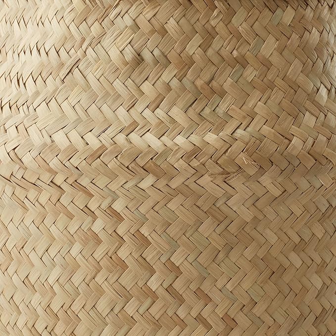 Casafield Seagrass Belly Storage Basket Planter with Handles - Small, Natural Woven Wicker Indoor Plant Pot Cover for Plants and Trees