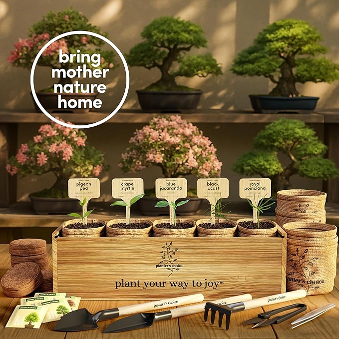 Planter's Choice Bonsai Tree Starter Kit - Mothers Day Gifts for Women, Men - Birthday Gifts for Adults - Indoor Live House Plants - DIY for Adults Craft Kits - Unique Hobby Gift Gardening Lovers
