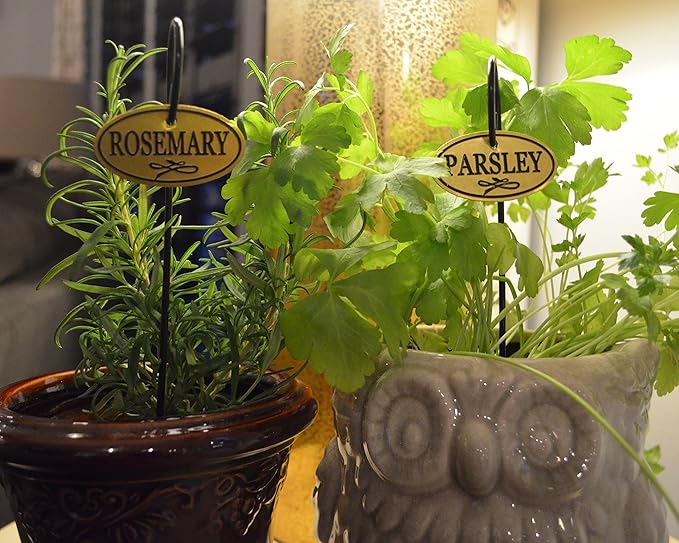 Bosmere H300 Plant Markers, Brass Plated Herb Tags with 10" Stakes, Labels For Herbs in Home, Garden, Greenhouse, Set of 8