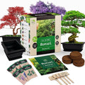 Bonsai Starter Kit – Japanese Bonsai Tree Kit 7 Seeds Pots – Complete Grow Your Own – Plant Lover Gifts Home Gifts for Men and Women