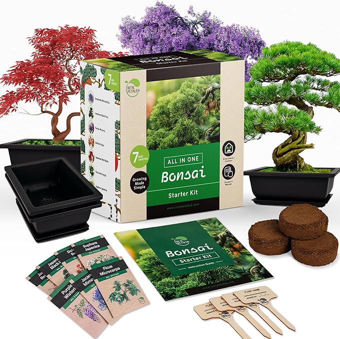 Bonsai Starter Kit – Japanese Bonsai Tree Kit 7 Seeds Pots – Complete Grow Your Own – Plant Lover Gifts Home Gifts for Men and Women