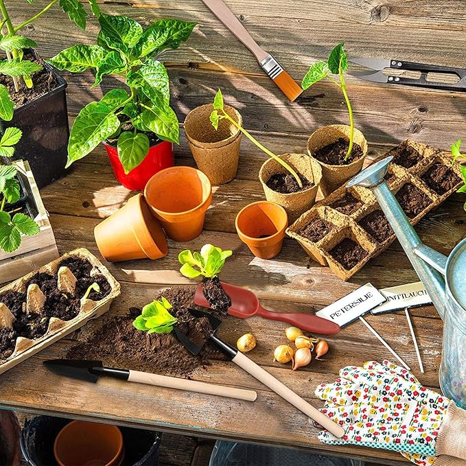 10 Piece Set of Garden Potted Tools Mini Garden Tool Set for Miniature Succulent Bonsai Cactus Planting Transplant Gardening Hand Tools