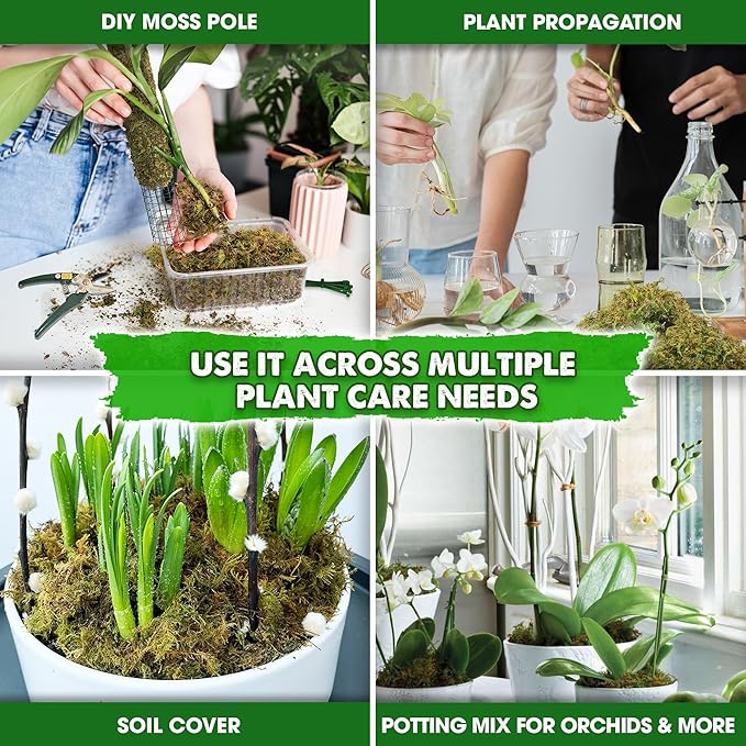 DUSPRO 2.1LBS Dried Moss for Potted Plants, Forest Orchid Moss for Potting Mix, Sphagnum Potting Moss for Plants Indoor, Real Moss Soil Cover for Houseplant
