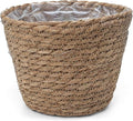 Small Basket Planter 7.1" x 5.9" Seagrass Containers, Hand Woven Wicker Cover Storage, Stylish Plastic Liners Straw Flower Jute Pots for Outdoor Indoor Use Mums Front Porch Room Decoration