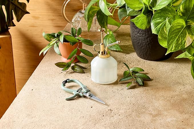 Modern Sprout Botanical Kit, Carbon Steel Pruning Shears & 8oz Plant Mister, Indoor & Outdoor Gardening Tools, Precision Cutting, Durable Water Sprayer Mister, Gift Set for Plant Lovers - Sage