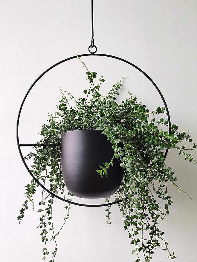 RISEON Boho Black Metal Plant Hanger,Metal Wall and Ceiling Hanging Planter, Modern Planter, Mid Century Flower Pot Plant Holder, Minimalist Planter for Indoor Outdoor Home Decor
