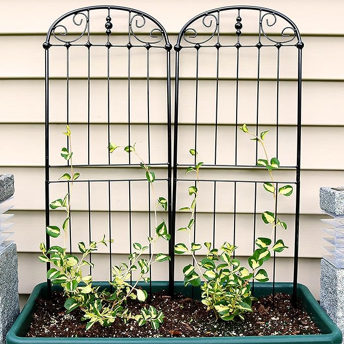 Sunnydaze 32-Inch Traditional Decorative Outdoor Trellis - Metal Wire Garden Trellis for Climbing Plants and Flowers - Set of 2