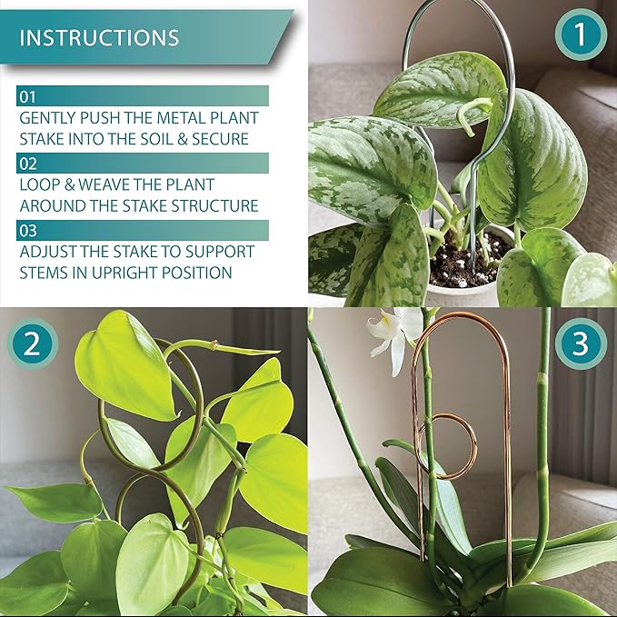 Small Metal Trellis for Indoor Plants Metal Plant Stake for Climbing House Plants Plant Support for Potted Plants Orchids, Monstera, Pothos, Ivy, Hoya Set of 4 Mushrooms (Simply Silver)