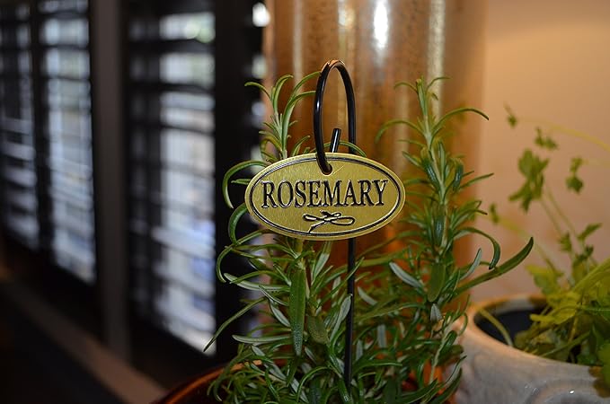 Bosmere H300 Plant Markers, Brass Plated Herb Tags with 10" Stakes, Labels For Herbs in Home, Garden, Greenhouse, Set of 8