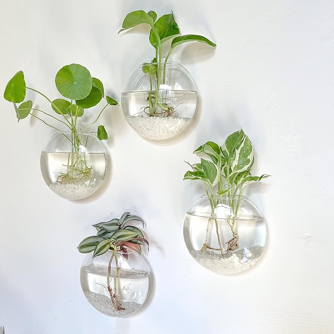 Kingbuy Wall Hanging Glass Planter Propagation Station - 6 Pack Oblate Globe Wall-Mounted Vases for Indoor Hydroponic Air Plants Bathroom Living Room Office Decor Gift for Women, Mom, Plants Lovers