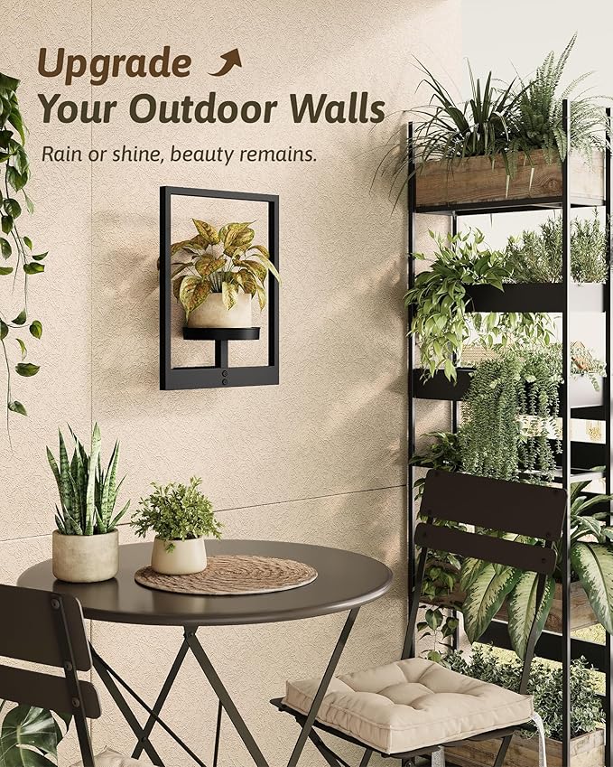 GENTINGBRO Wall Plant Holder Wall Planters for Indoor Plants Plant Wall Shelf Plant Hanger Indoor Hanging Plant Holder Wall Decor Plant Frame for Living Room Window Balcony