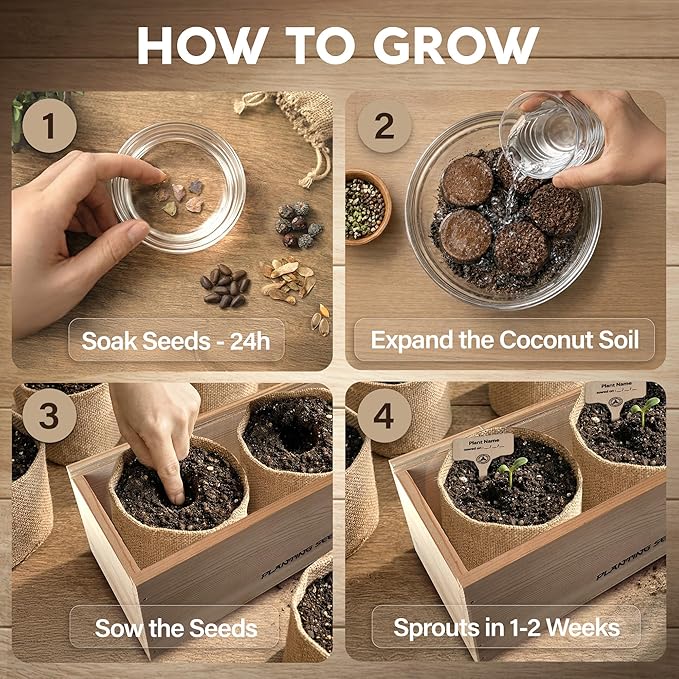 AVERGO Bonsai Tree Kit Classic - 5X Unique Japanese Bonzai Trees | Complete Indoor Bonsai Starter Kits for Growing Trees – DIY Gardening Gifts for Mother's Day, Women & Men