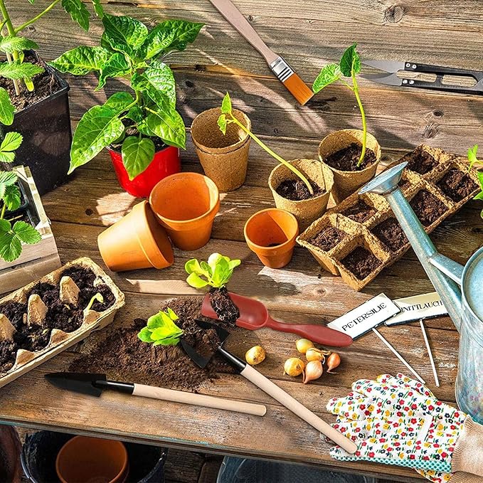 RoseFlower12 Pcs Mini Gardening Tools Set, Plants Care Tools Kit, Bonsai Mini Hand Transplanting Succulent Tools, Indoor Terrarium Tool Accessories, Garden Plant Care Tool Kit, Gardening Accessories