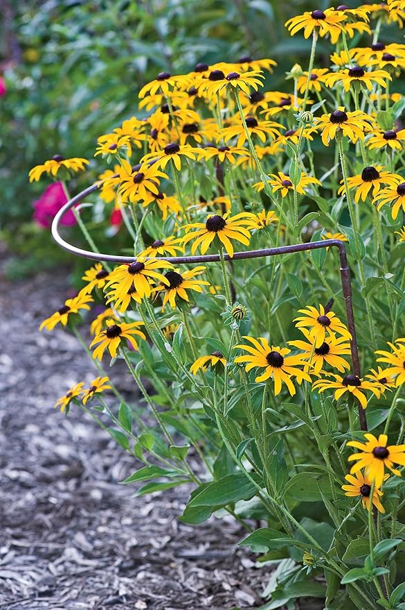 Gardener's Supply Company Jardin Half Round Metal Garden Plant Stakes | Sturdy Powder Coated Metal Outdoor Garden Plant Support Ring Border for Tomatoes, Flowers & Other Plants | 18" x 35" - Set of 2