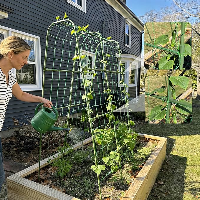 Miory Cucumber Trellis, 63" Tall U-Shape Trellis for Raised Bed, Garden Arch Trellis for Climbing Plants Outdoor, Plant Support for Vines, Steel with PE Coated (32" Lx32 Wx63 H)