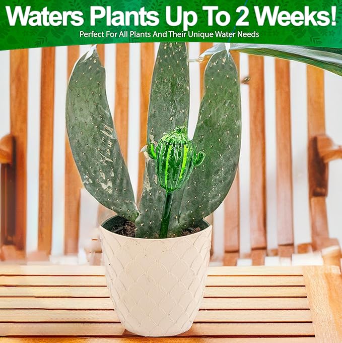 5 STAR SUPER DEALS Aqua Glass Plant Watering Globes Automatic Self Watering Plant Insert Spike Orbs - Indoor Outdoor Plant Drip Irrigation - for Flowers, Herbs, Houseplants (Cactus Globes, 4, Units)