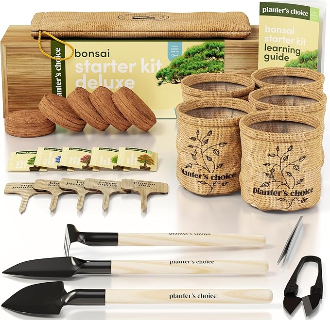 Planter's Choice Bonsai Tree Starter Kit - Mothers Day Gifts for Women, Men - Birthday Gifts for Adults - Indoor Live House Plants - DIY for Adults Craft Kits - Unique Hobby Gift Gardening Lovers