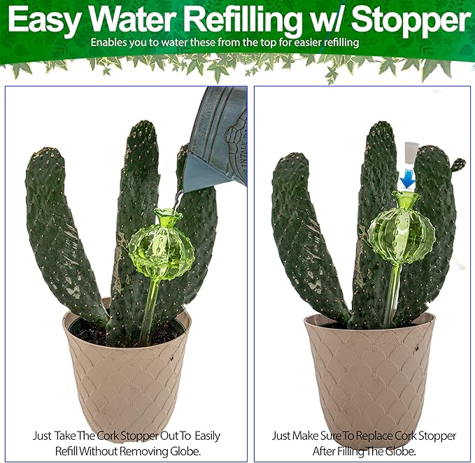 Aqua Glass Plant Watering Globes Automatic Self Watering Plant Insert Spike Orbs - Indoor Outdoor Plant Drip Irrigation - For Flowers, Herbs, Houseplants (Cactus Ball Globes, 4, Units)