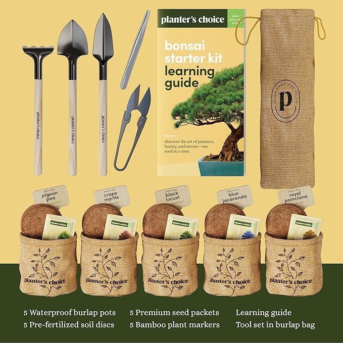 Planter's Choice Bonsai Tree Starter Kit - Mothers Day Gifts for Women, Men - Birthday Gifts for Adults - Indoor Live House Plants - DIY for Adults Craft Kits - Unique Hobby Gift Gardening Lovers