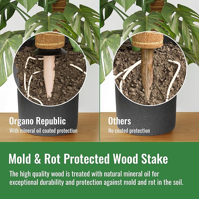 Organo Republic Moss Pole Monstera Plant Support Stakes - 26.4" Unique Self-Watering, Extendable Coco Coir Pole for Climbing Plant Supports for Potted Plants Indoor for Monstera, Pothos & More