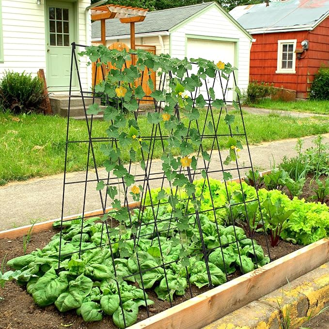 Cucumber Trellis 2 Pack, Foldable A-Frame Garden Trellis for Raised Bed Garden Grow Support with Plant Support Clips, Twist Ties, Plastic Ties, for Cucumber,Tomato, Climbing Plants and Flowers