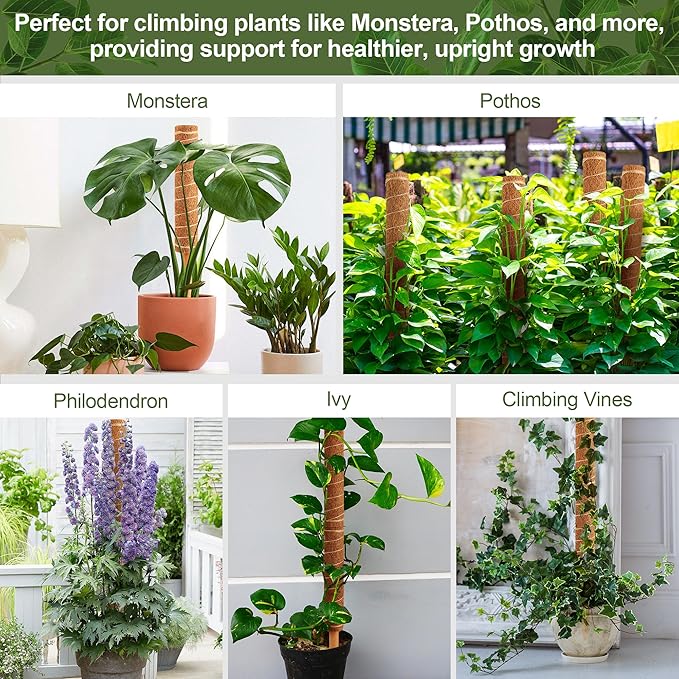 48 Inch Monstera Plant Support, 4 Pack 16 inch Moss Pole for Monstera & Climbing Plants Coco Coir Plant Support, Plant Ties Included