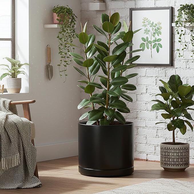 D'vine Dev 16 Inch Ceramic Planter Pot with Drainage Hole and Saucer, Indoor Cylinder Round Planter Pot, Black, 94-O-H-2