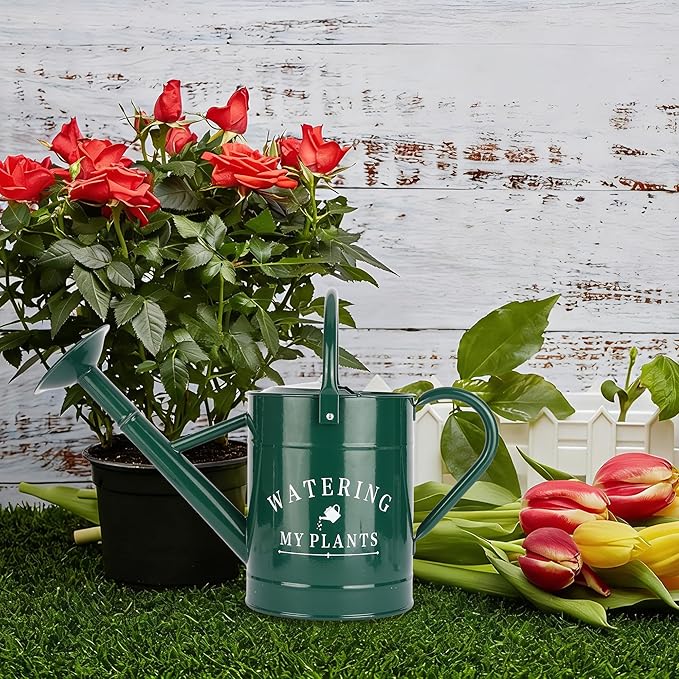 Garutom Galvanized Watering Can for Outdoor Indoor Plants, 1 Gallon Decorative Countryside Water Can with Removable Spout, Metal Watering Can for Indoor Plants and Garden Flower (Green)