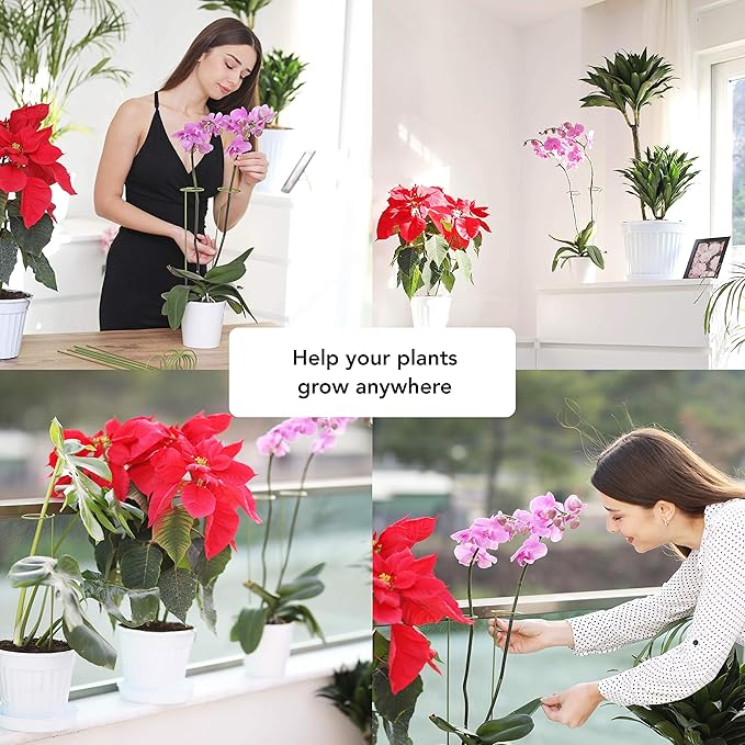 2 Pack Plant Stakes | Plant Supports for Tall Plants and Flowers | Green Garden Stakes | Help Your Flowers Grow | Tomato Cages for Garden | Plant Sticks for Orchid, Amaryllis, Peony, Peppers and More