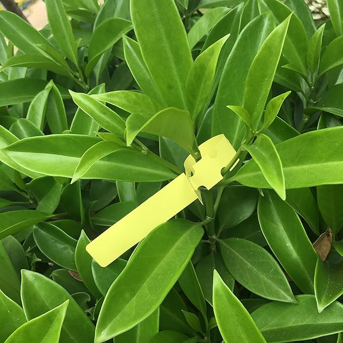 500PCS 5 Colors Wrap Around Plastic Tree Tag Plant Garden Labels Nursery Garden Tag with 3 Adjustable Loop Sizes