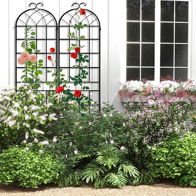 LZRS 2 Pack 83x20in Rustic Iron Arch Decoration Garden Trellis with Black Metal Coating – Perfect for Supporting Climbing Plants Outdoor, Roses, Vines, Flowers, and Vegetables.