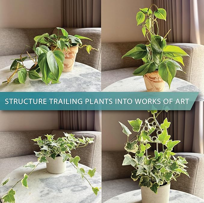 Small Metal Trellis for Indoor Plants Metal Plant Stake for Climbing House Plants Plant Support for Potted Plants Orchids, Monstera, Pothos, Ivy, Hoya Set of 4 Mushrooms (Brushed Gold)