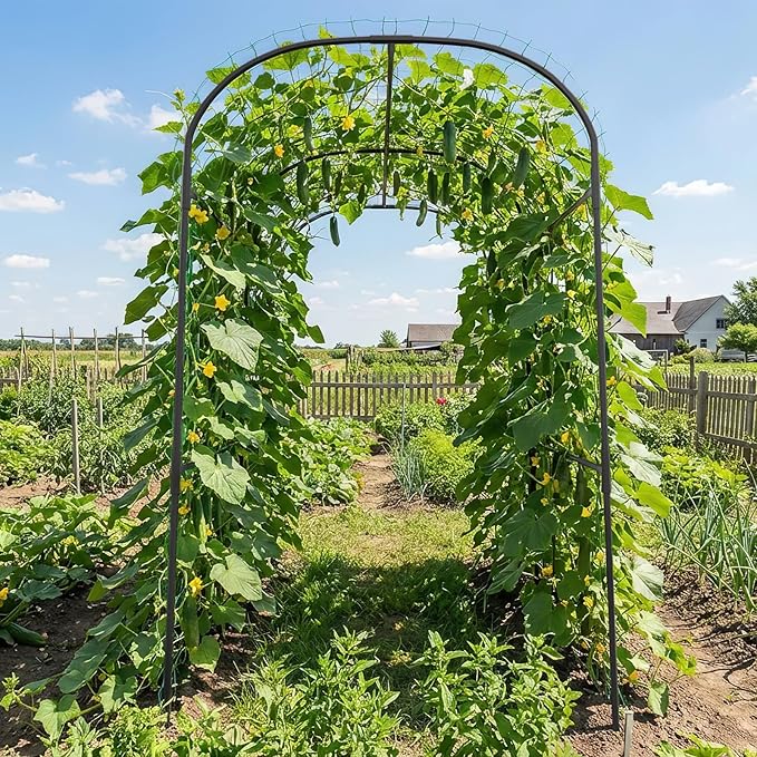 SUNYRISY Garden Arch Trellis for Climbing Plants Outdoor, 71" x 47" x 83" Metal Core Tall Archway Tunnel Plant Support for Cucumber Tomato Vine Flowers Vegetables Climbing Plants